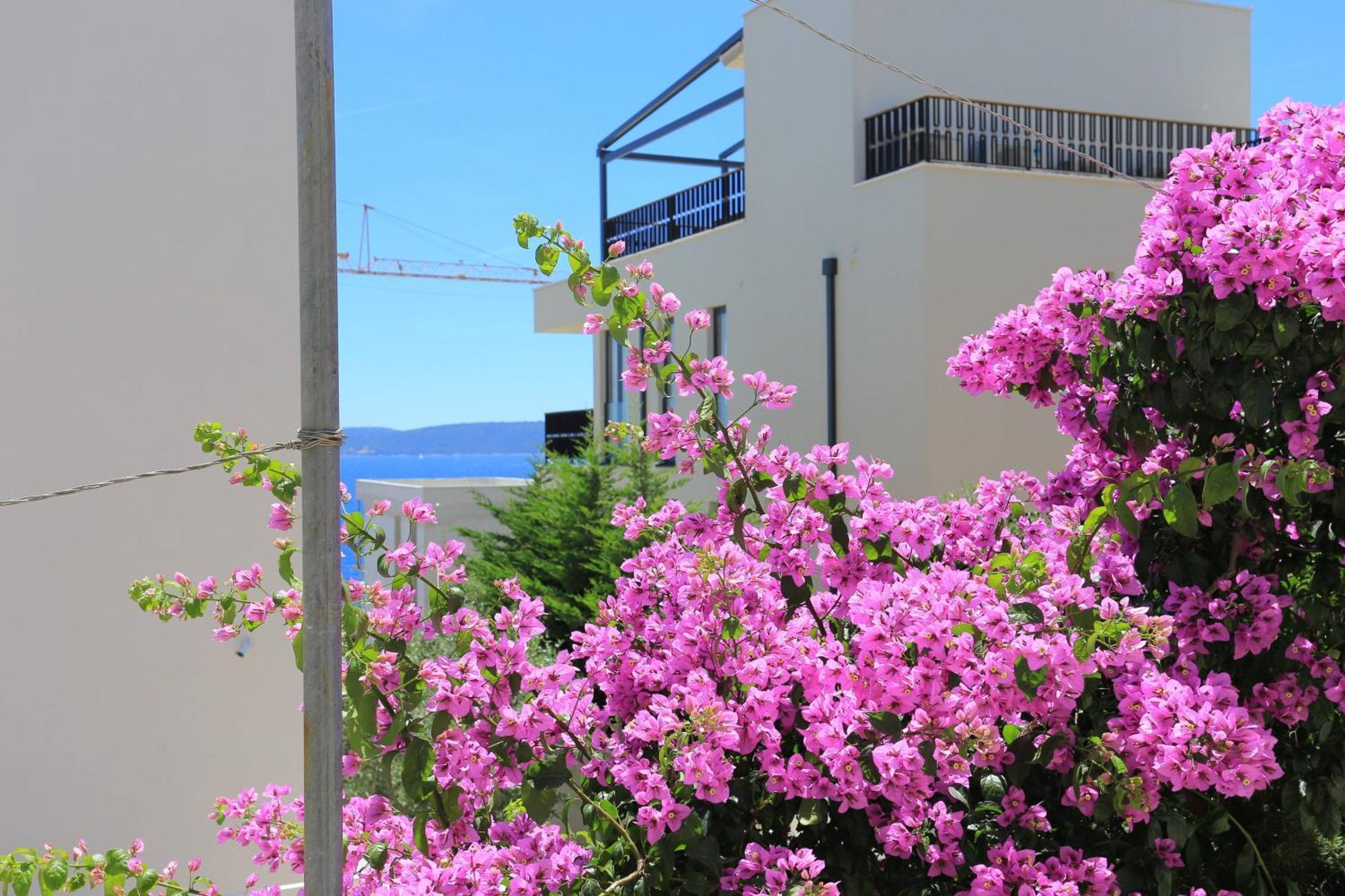 Family Friendly Apartments With A Swimming Pool Businci, Ciovo - 11232 Трогир Екстериор снимка